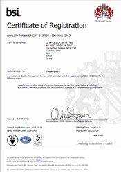 BSI Certificate of Registration Turkey